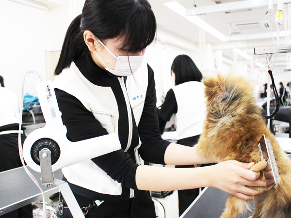 シャンプーの技術を確認♪